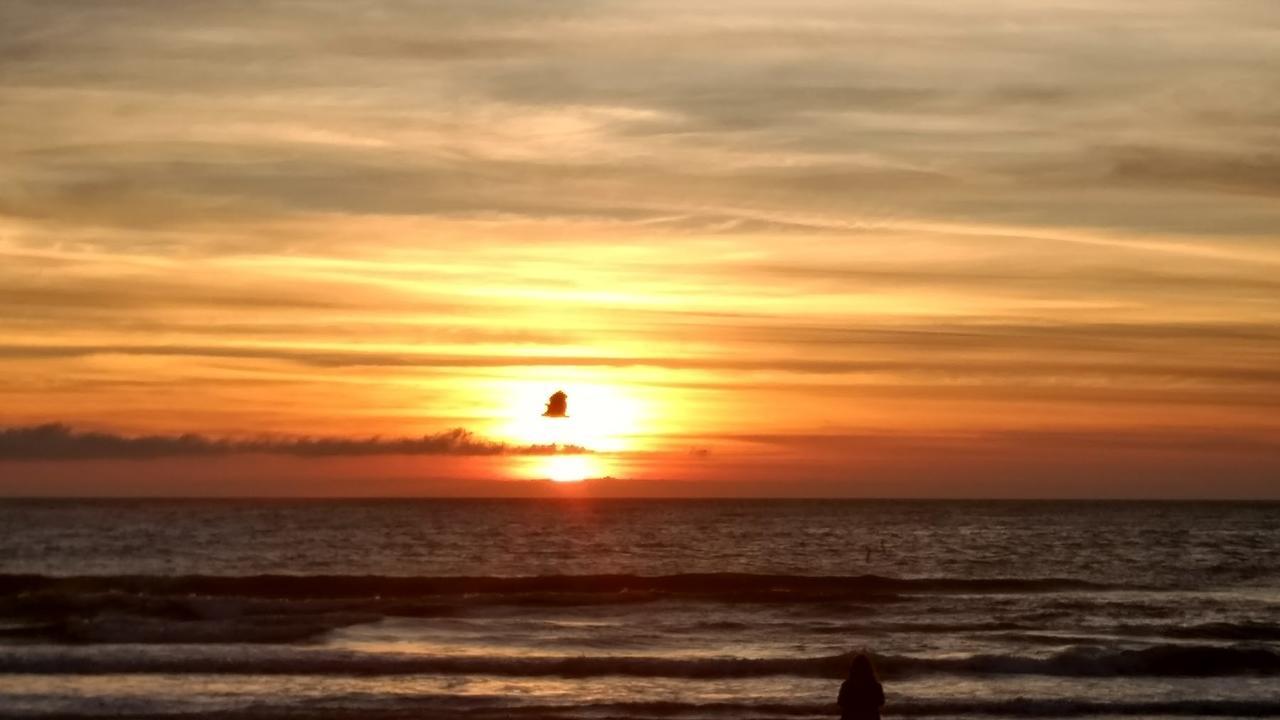 Florianópolis Pousada Mocambique מראה חיצוני תמונה
